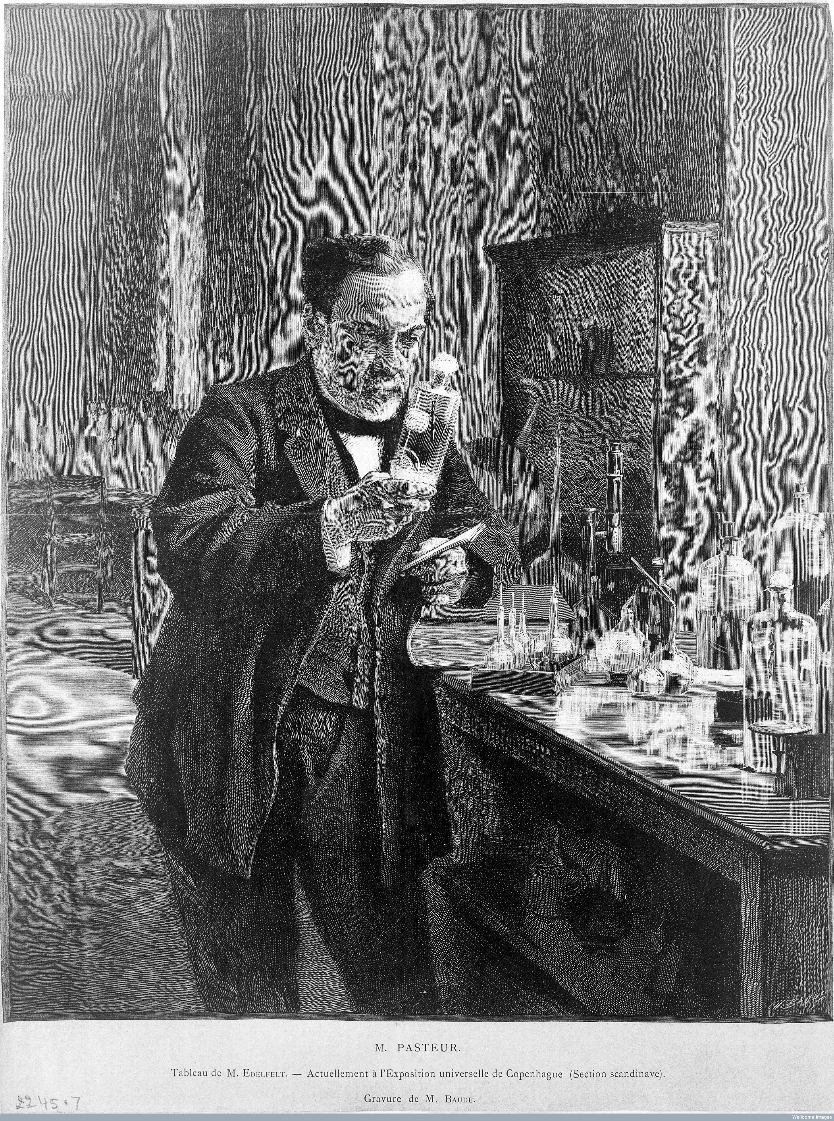 圖六 L0014176 Louis Pasteur [1822 - 1895], microbiologist and chemist