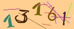圖片的 CAPTCHA