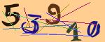 圖片的 CAPTCHA