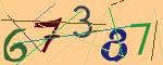 圖片的 CAPTCHA
