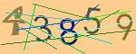 圖片的 CAPTCHA