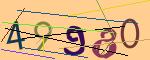 圖片的 CAPTCHA