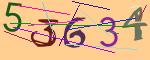 圖片的 CAPTCHA