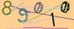 圖片的 CAPTCHA