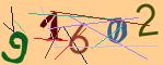 圖片的 CAPTCHA