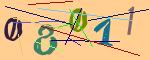 圖片的 CAPTCHA