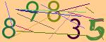 圖片的 CAPTCHA
