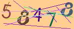 圖片的 CAPTCHA
