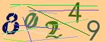 圖片的 CAPTCHA