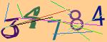 圖片的 CAPTCHA