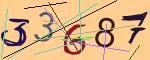 圖片的 CAPTCHA