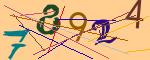 圖片的 CAPTCHA