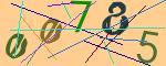 圖片的 CAPTCHA