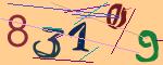 圖片的 CAPTCHA