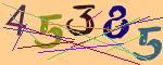 圖片的 CAPTCHA
