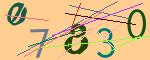 圖片的 CAPTCHA