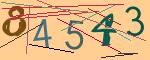 圖片的 CAPTCHA