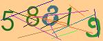 圖片的 CAPTCHA