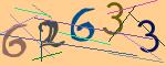 圖片的 CAPTCHA