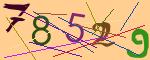 圖片的 CAPTCHA