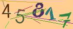 圖片的 CAPTCHA