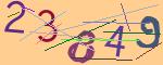 圖片的 CAPTCHA