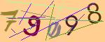 圖片的 CAPTCHA