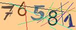圖片的 CAPTCHA