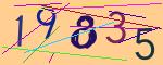 圖片的 CAPTCHA