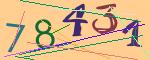 圖片的 CAPTCHA
