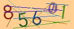 圖片的 CAPTCHA