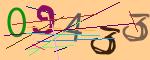 圖片的 CAPTCHA