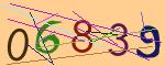 圖片的 CAPTCHA