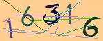 圖片的 CAPTCHA