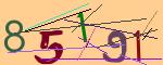 圖片的 CAPTCHA