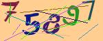 圖片的 CAPTCHA