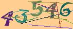 圖片的 CAPTCHA