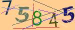 圖片的 CAPTCHA