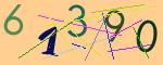 圖片的 CAPTCHA