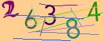 圖片的 CAPTCHA
