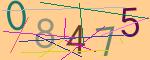 圖片的 CAPTCHA