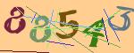 圖片的 CAPTCHA