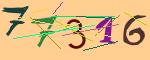 圖片的 CAPTCHA