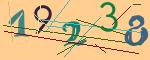 圖片的 CAPTCHA