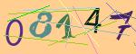 圖片的 CAPTCHA
