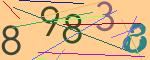 圖片的 CAPTCHA