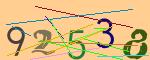 圖片的 CAPTCHA
