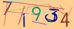 圖片的 CAPTCHA