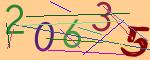 圖片的 CAPTCHA