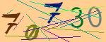 圖片的 CAPTCHA